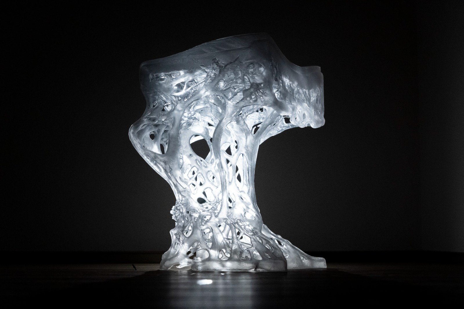 Generative Biomimicry